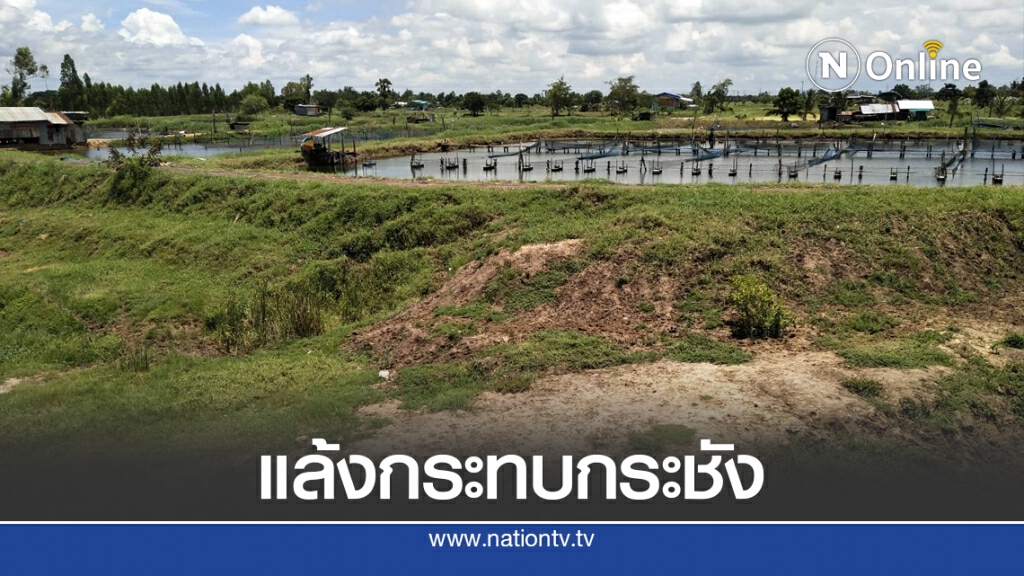 โคราชแล้งต่อเนื่องลำสวายแห้งกระทบปลากระชังโนนสูง