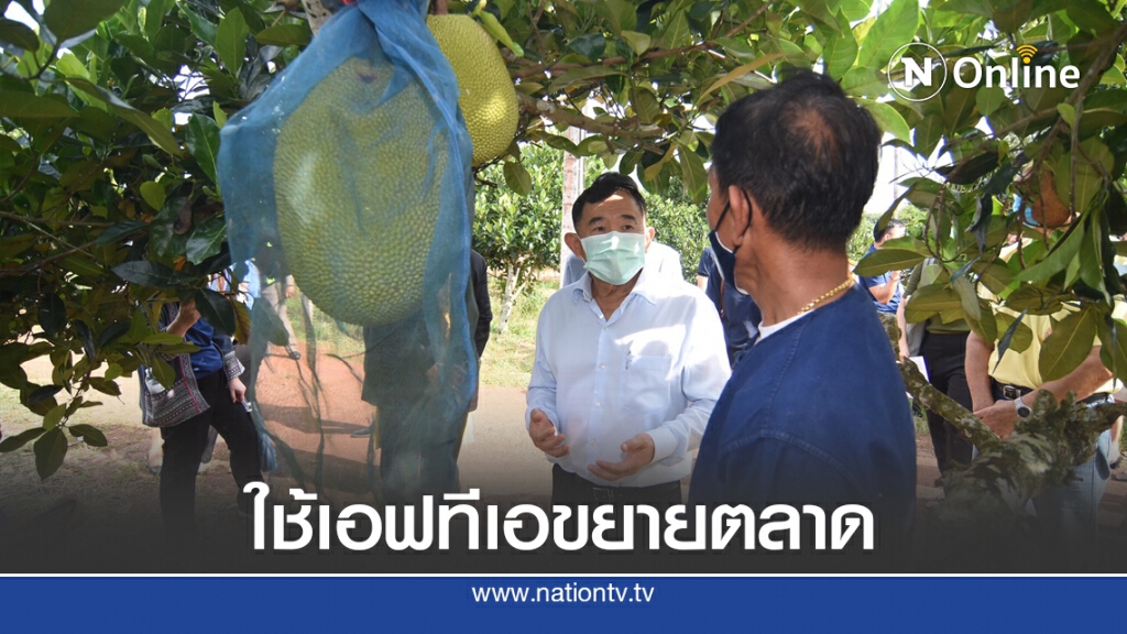 พาณิชย์ดันขนุนทอดกรอบเป็นสินค้า GI พาณิชย์ดันขนุนทอดกรอบเป็นสินค้า GI