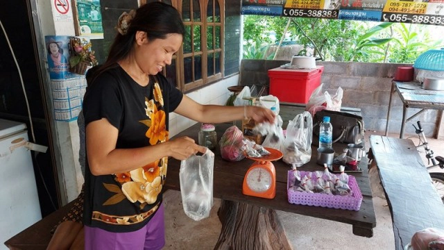 หาแมงแคงดิน "วาซาบิเมืองไทย"รายได้งาม