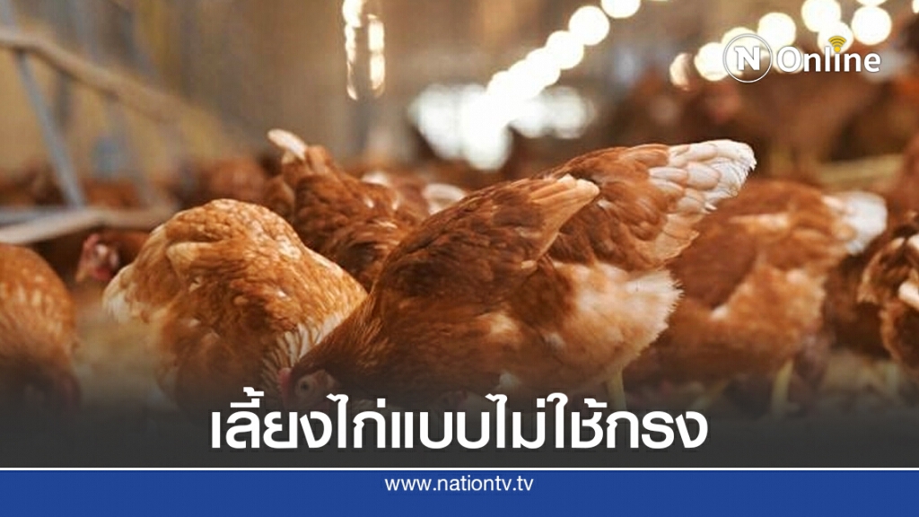 ซีพีเอฟหนุนยกร่างมาตรฐานฟาร์มไก่ไข่