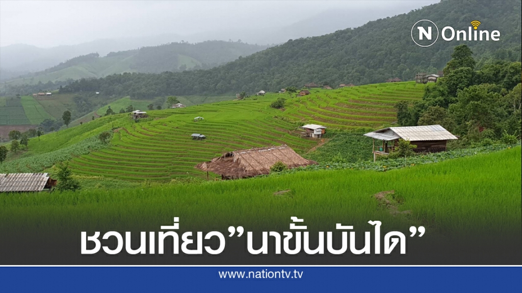 ชมนาขั้นบันได"สวยที่สุดในประเทศไทย ชมนาขั้นบันได"สวยที่สุดในประเทศไทย