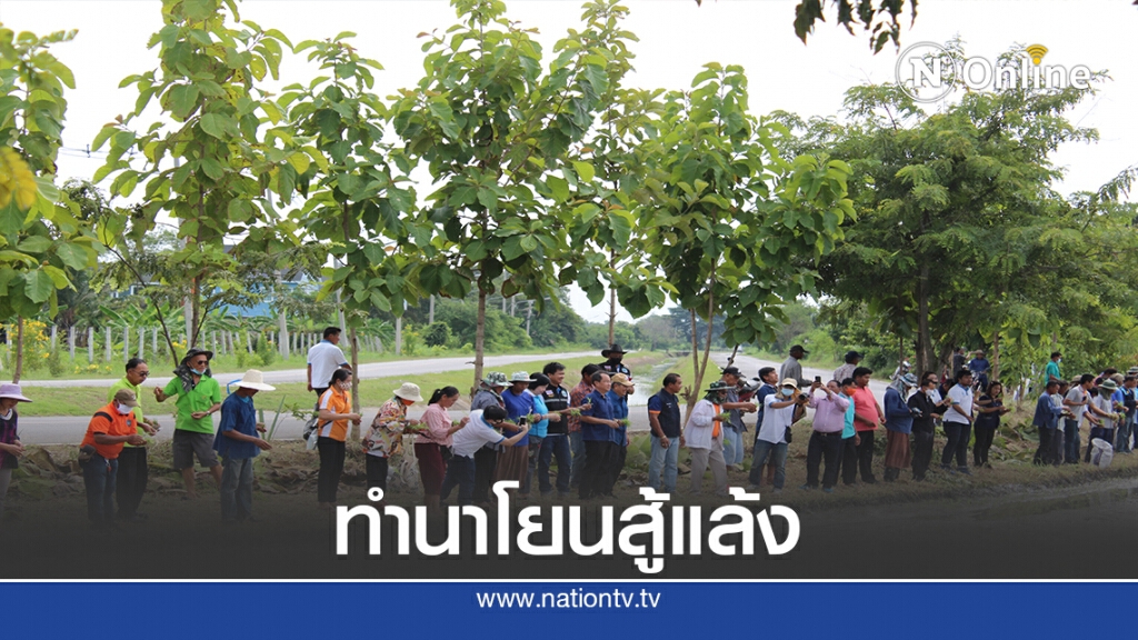 จัดโครงการสาธิตกรรมวิธีปลูกข้าวแบบนาโยน จัดโครงการสาธิตกรรมวิธีปลูกข้าวแบบนาโยน