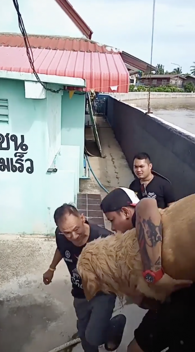 นาทีโกลเด้นฯ ก้าวพลาดตกน้ำจมหายพลเมืองดีช่วยชีวิตไว้ทัน