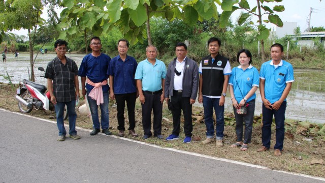 จัดโครงการสาธิตกรรมวิธีปลูกข้าวแบบนาโยน