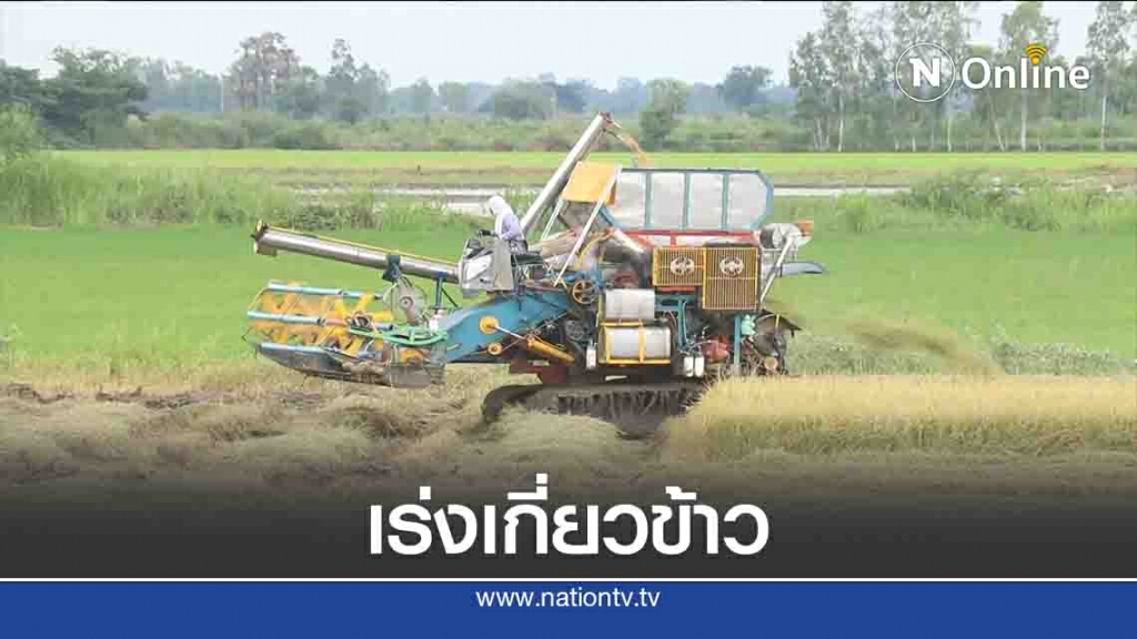 ชาวนาพิจิตรเร่งเกี่ยวข้าวหนีน้ำท่วม ชาวนาพิจิตรเร่งเกี่ยวข้าวหนีน้ำท่วม