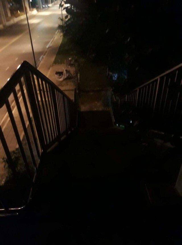 ร้องเรียน!! สะพานลอยในเขตหลักสี่ ไม่มีไฟส่องสว่าง หวั่นมิจฉาชีพก่อเหตุปล้นชิงทรัพย์