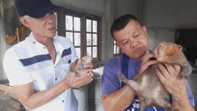 "ด.ต."ใช้เวลาว่างเลี้ยง "ตุ่นอ้น"สร้างรายได้งาม