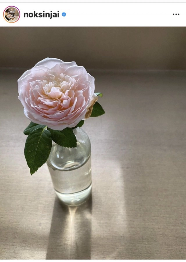 นก สินจัย ซัดกลับจี๊ดกลางไอจี ถูกหาเป็นสลิ่มหลังให้กำลังใจม้า อรนภา