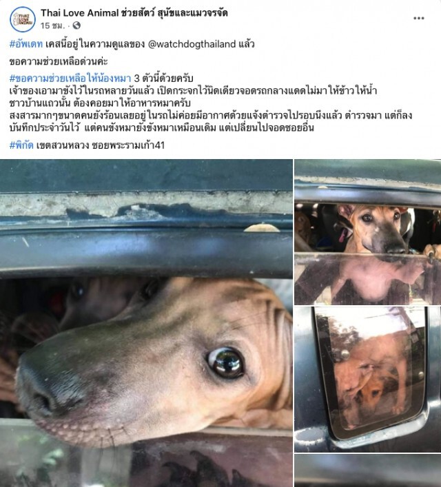 สุนัข 3 ตัวถูกขังตากแดดไว้ในรถ สายตาอ้อนวอนจนชาวบ้านต้องเร่งช่วย