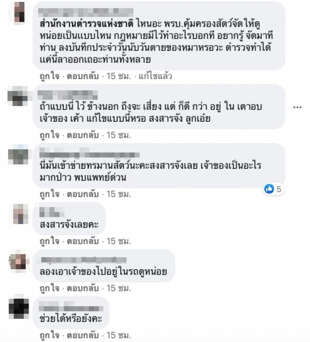 สุนัข 3 ตัวถูกขังตากแดดไว้ในรถ สายตาอ้อนวอนจนชาวบ้านต้องเร่งช่วย