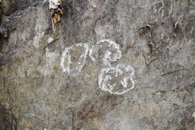 รอคอยว่า10ปี-"น้ำตกห้วยตาด" มีน้ำแล้ว