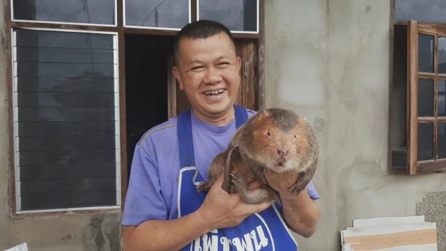 "ด.ต."ใช้เวลาว่างเลี้ยง "ตุ่นอ้น"สร้างรายได้งาม