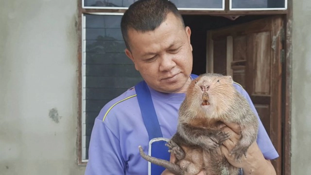 "ด.ต."ใช้เวลาว่างเลี้ยง "ตุ่นอ้น"สร้างรายได้งาม