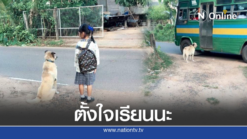 แห่แชร์ บอดี้การ์ด 4 ขา ส่งน้องขึ้นรถไปโรงเรียน หูตก หางลู่สุดประทับใจ