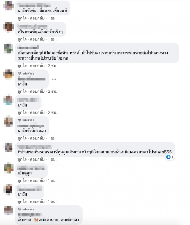 แห่แชร์ บอดี้การ์ด 4 ขา ส่งน้องขึ้นรถไปโรงเรียน หูตก หางลู่สุดประทับใจ