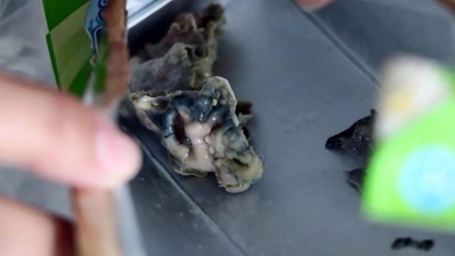 "ดัชมิลล์" ชี้แจงแล้วกรณีพบก้อนปริศนาในนมเปรี้ยว