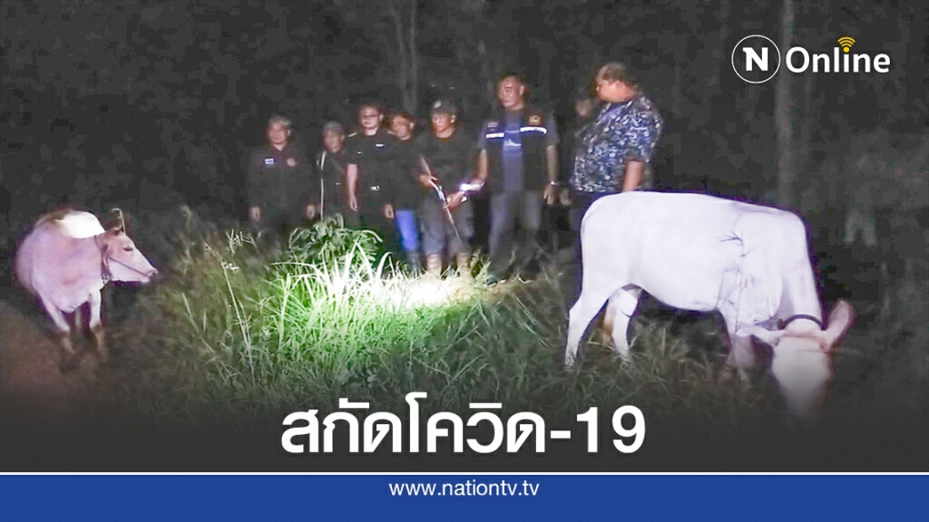 ลาดตระเวนชายแดนไทย-เมียนมา สกัดโควิด-19 ลาดตระเวนชายแดนไทย-เมียนมา สกัดโควิด-19