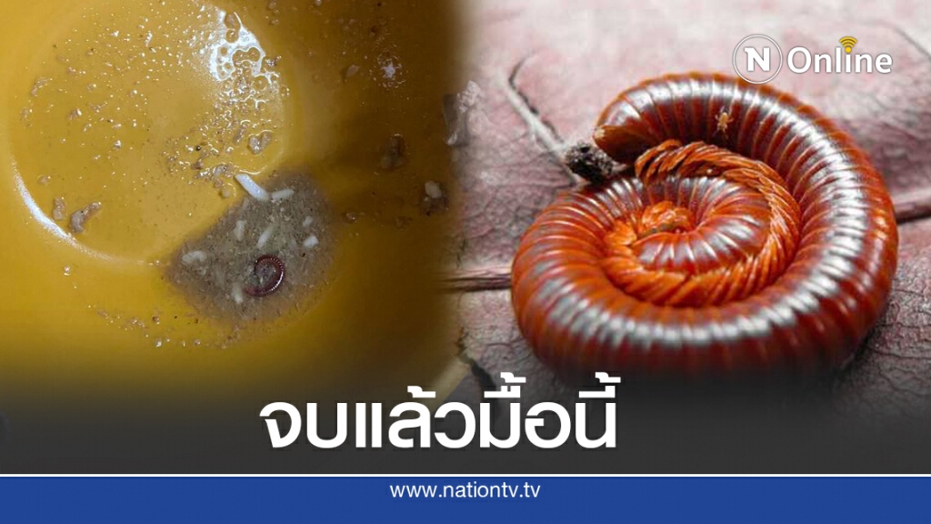 สาวกินต้มเลือดหมูร้านดัง กลับเจอกิ้งกือ เจ้าของร้านตอบกลับมาไร้เยื่อใย สาวกินต้มเลือดหมูร้านดัง กลับเจอกิ้งกือ เจ้าของร้านตอบกลับมาไร้เยื่อใย