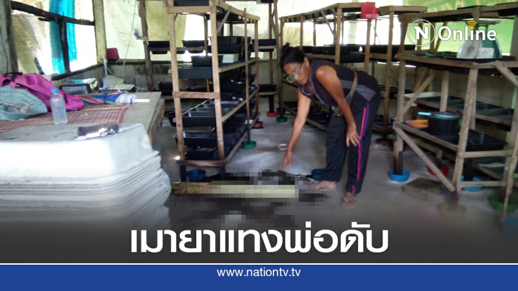 ลูกเมายาหลอนแทงพ่อดับ ลูกเมายาหลอนแทงพ่อดับ