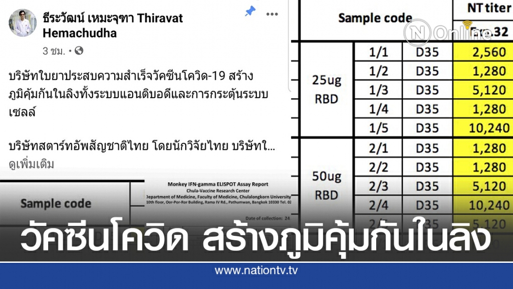 "หมอธีระวัฒน์" เผย วัคซีนโควิด19 สร้างภูมิคุ้มกันในลิง