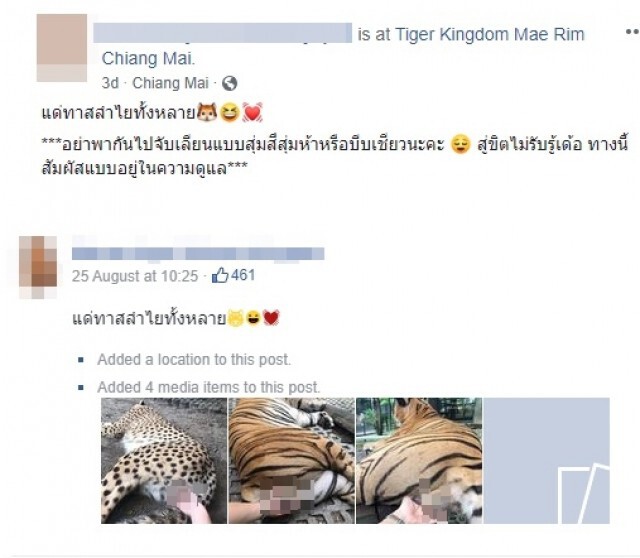 สาวพิเรนทร์ จับอัณฑะเสือโชว์โซเชียล บางรูปลามหนักถึงอวัยวะเพศ