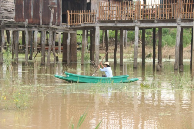 แม่น้ำยมล้นตลิ่งท่วมขังบ้านเรือนชาวพิจิตร