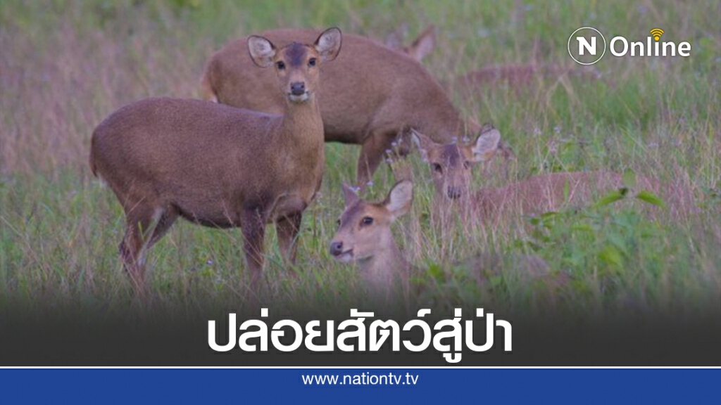 "วราวุธ"มอบอิสระภาพ ปลอยสัตว์ป่าคืนวนา