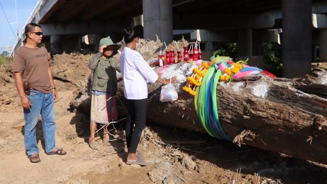 แห่ขูดขอเลขไม้ตะเคียนหลังได้ยินเสียงโหยหวน