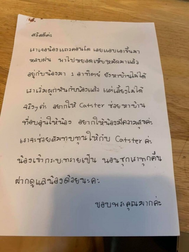 สาวยัดแมวใส่กล่องปิดผนึกแน่นหนา ส่งแกร็บไปเพจดังหวังให้ช่วยหาบ้าน