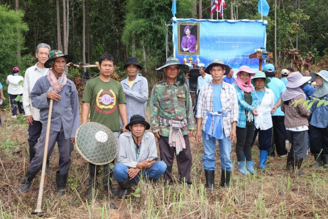 ปลูกป่าเฉลิมพระเกียรติสมเด็จพระพันปีหลวง