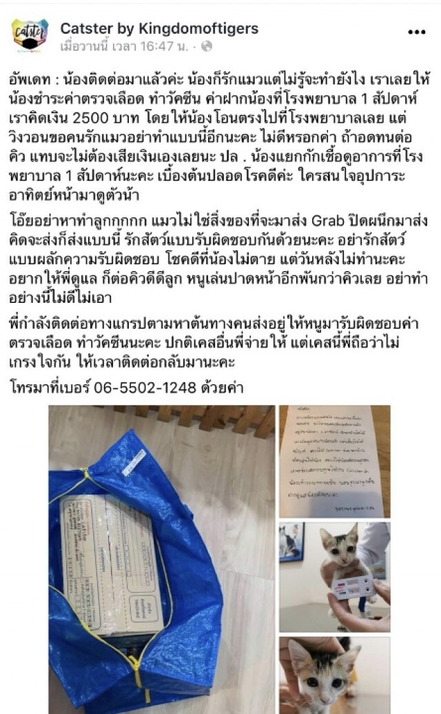 สาวยัดแมวใส่กล่องปิดผนึกแน่นหนา ส่งแกร็บไปเพจดังหวังให้ช่วยหาบ้าน