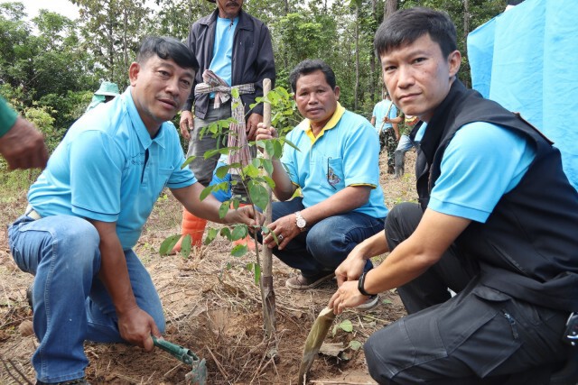 ปลูกป่าเฉลิมพระเกียรติสมเด็จพระพันปีหลวง