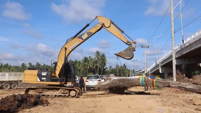 แห่ขูดขอเลขไม้ตะเคียนหลังได้ยินเสียงโหยหวน