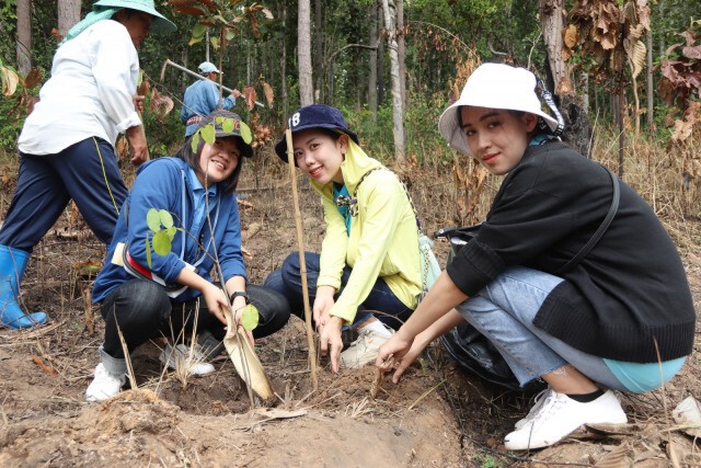ปลูกป่าเฉลิมพระเกียรติสมเด็จพระพันปีหลวง