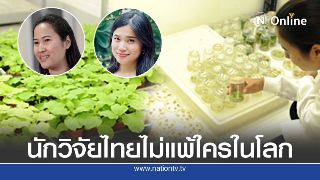 หมอธีระวัฒน์ เผย โฉมหน้า นักวิจัยวัคซีนโควิด-19 จากโปรตีนจากใบยาสูบ
