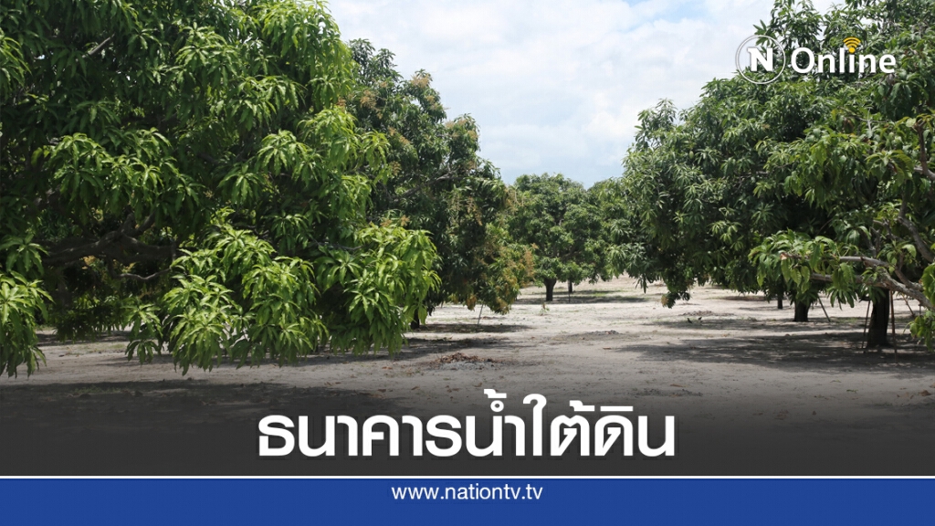 รัฐผนึกเอกชนใช้ระบบจัดการน้ำใต้ดินกู้วิกฤตแล้ง