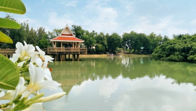 นทท.แห่เที่ยวชมอุทยานไทรงาม หลังฝนตกรากไทรแผ่กิ่งก้านสวยงาม