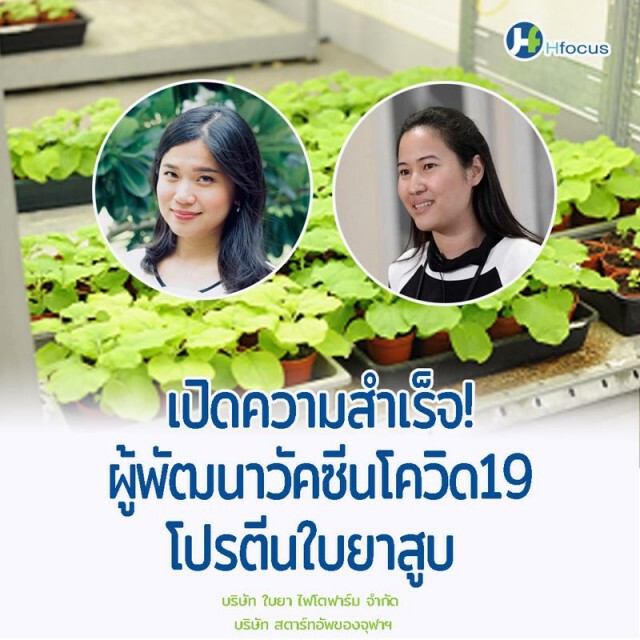 หมอธีระวัฒน์ เผย โฉมหน้า นักวิจัยวัคซีนโควิด-19 จากโปรตีนจากใบยาสูบ