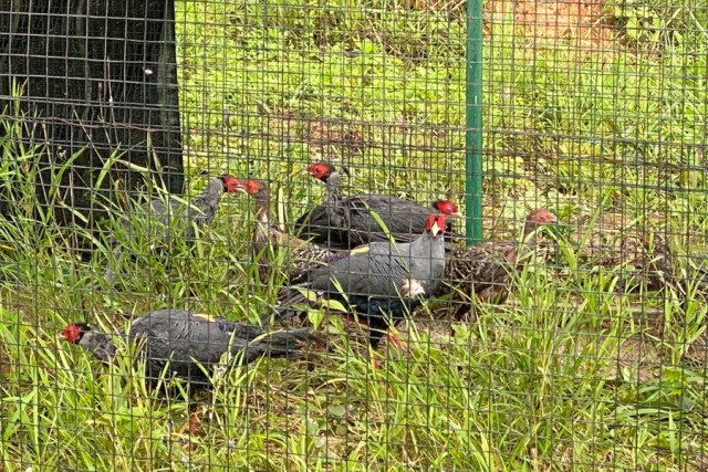 ทิพยประกันภัยนำคณะครูอาจารย์ ร่วมโครงการ "ทิพย สืบสาน รักษา ต่อยอด ศาสตร์พระราชา ครั้งที่ 8"