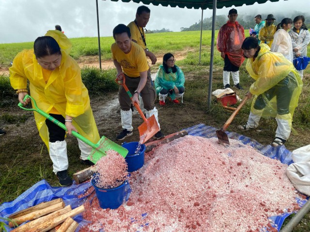 ทิพยประกันภัยนำคณะครูอาจารย์ ร่วมโครงการ "ทิพย สืบสาน รักษา ต่อยอด ศาสตร์พระราชา ครั้งที่ 8"
