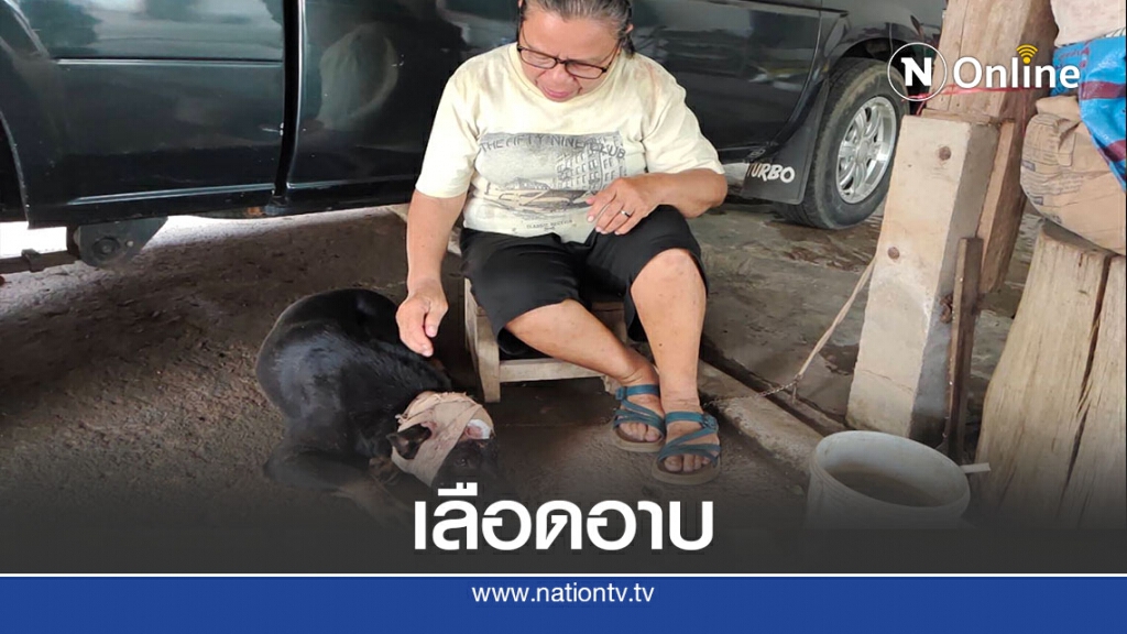 ล่า! มือมีดฟันหัวหมา "เลือดอาบ" ล่า! มือมีดฟันหัวหมา "เลือดอาบ"