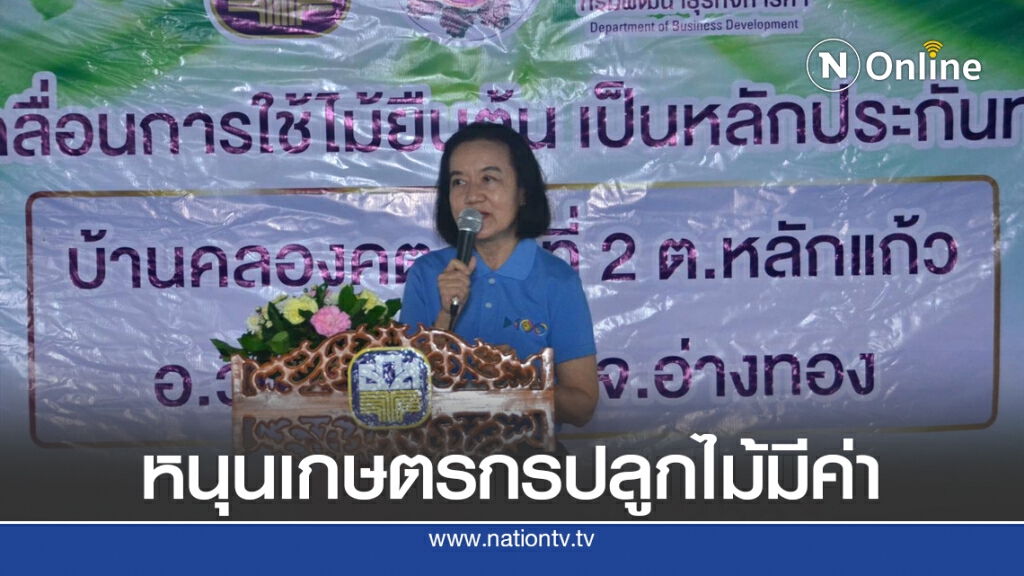 พาณิชย์ดันเกษตรกรปลูกไม้ยืนต้นสร้างหลักประกัน