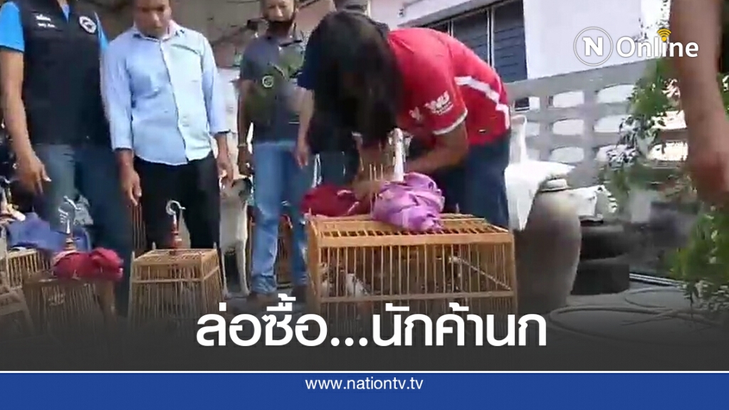 ล่อซื้อจับกุมนักค้านกปรอทหัวโขน ล่อซื้อจับกุมนักค้านกปรอทหัวโขน