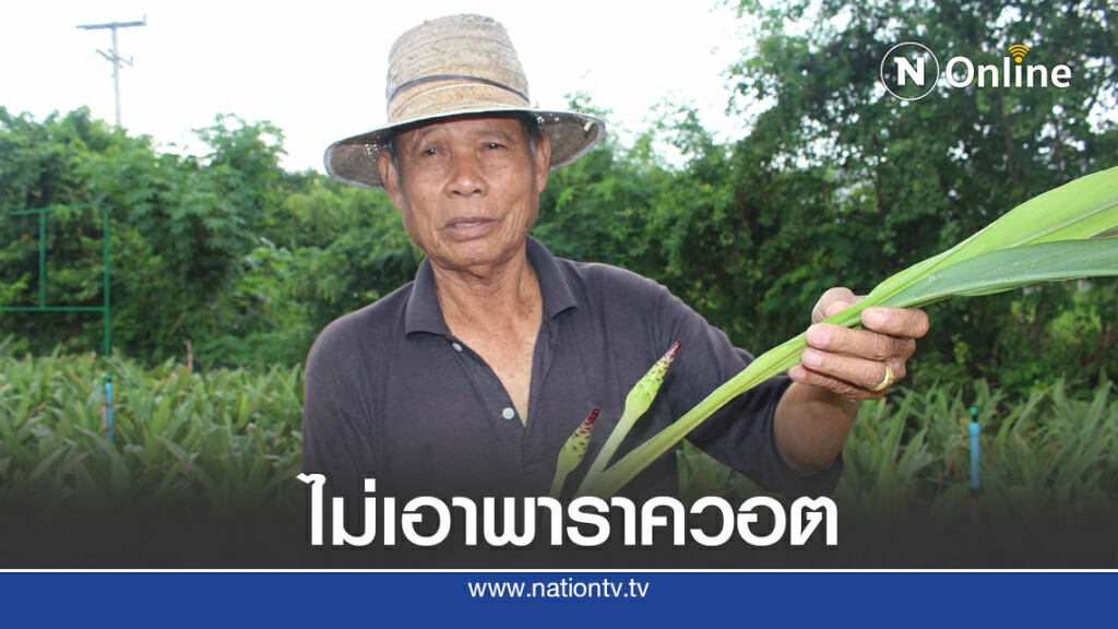 เกษตรกรเห็นด้วยเก็บสารพาราควอต