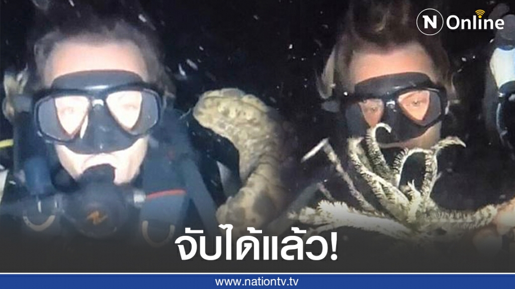 จับได้แล้ว! 2 ชาวต่างชาติจับสัตว์ทะเลมาเซลฟี่เล่น