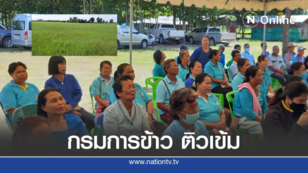 กรมการข้าวติวเข้มศูนย์ข้าวชุมชนทุ่งกุลาร้องไห้หวังเพิ่มศักยภาพผลิตข้าวหอมมะลิอินทรีย์ภาคอีสาน