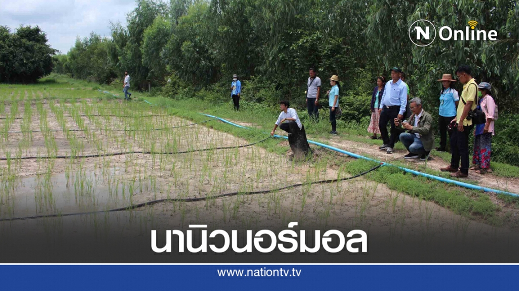 เกษตรกรรุ่นใหม่เลี้ยงไส้เดือนทำนานิวนอร์มอล
