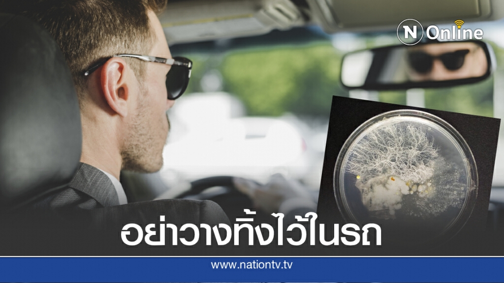 อึ้งเลย! งานวิจัยชี้พบเชื้อโรคในแว่นกันแดดมากกว่าบนโถส้วม อึ้งเลย! งานวิจัยชี้พบเชื้อโรคในแว่นกันแดดมากกว่าบนโถส้วม