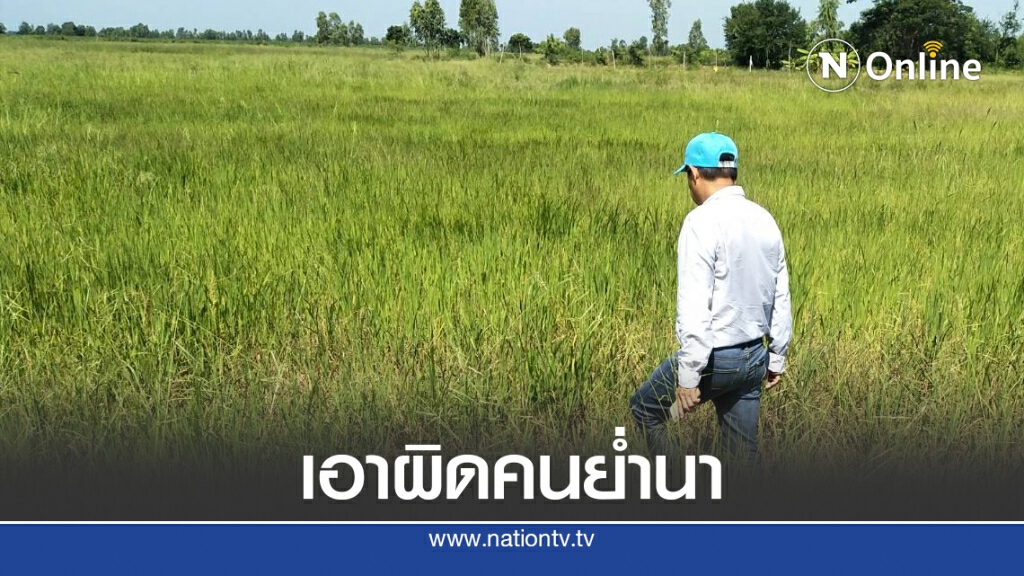 เอาผิด คนแอบจับตั๊กแตนฐานบุกรุก ทำให้เสียทรัพย์ เอาผิด คนแอบจับตั๊กแตนฐานบุกรุก ทำให้เสียทรัพย์