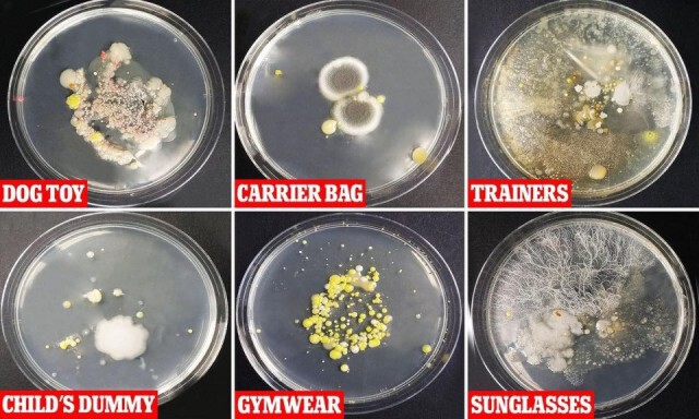 อึ้งเลย! งานวิจัยชี้พบเชื้อโรคในแว่นกันแดดมากกว่าบนโถส้วม